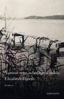 Nattens regn och dagens möda - Elisabeth Hjorth