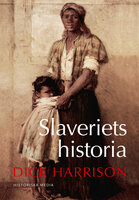 Slaveriets historia - Dick Harrison