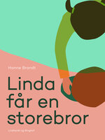Linda får en storebror - Hanne Brandt