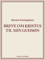 Breve om Kristus til min gudsøn - Morten Pontoppidan