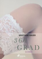 360 Grad - Schnee (Erotische Geschichten, Band 2) - Kristiane Hauer