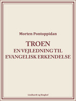 Troen: En vejledning til evangelisk erkendelse - Morten Pontoppidan