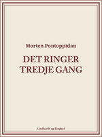 Det ringer tredje gang - Morten Pontoppidan