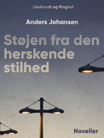 Støjen fra den herskende stilhed - Anders Johansen