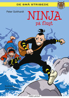 Ninja på flugt - Peter Gotthardt