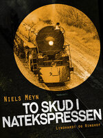 To skud i Natekspressen - Niels Meyn