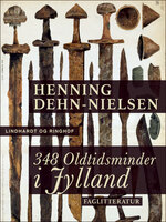 348 oldtidsminder i Jylland - Henning Dehn-Nielsen
