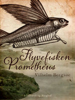 Flyvefisken "Prometheus" - Vilhelm Bergsøe