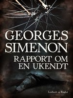 Rapport om en ukendt - Georges Simenon