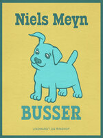 Busser - Niels Meyn