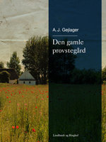 Den gamle provstegård - A.J. Gejlager