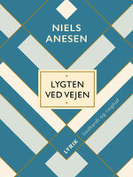 Lygten ved vejen - Niels Anesen