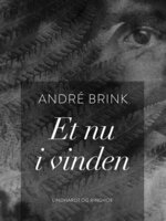 Et nu i vinden - André Brink