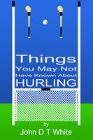 101 Things You May Not Have Known About Hurling - John DT White