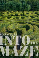 Into The Maze - Euan McAllen
