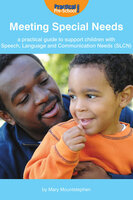 Meeting Special Needs: A practical guide to support children with Speech, Language and Communication Needs (SLCN) - Mary Mountstephen