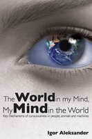 The World in My Mind, My Mind in the World - Igor Aleksander