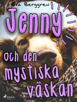 Jenny och den mystiska väskan - Eva Berggren