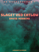 Slaget ved Catlow - David Robbins
