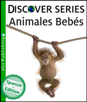 Animales Bebés - Xist Publishing