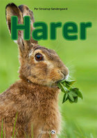 Harer - Per Straarup Søndergaard
