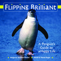 Flipping Brilliant: A Penguin's Guide to a Happy Life - Jonathan Chester