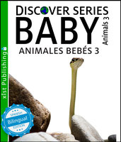 Baby Animals 3 / Animales Bebés 3 - Xist Publishing