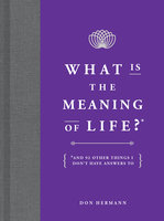 What Is the Meaning of Life?: And 92 Other Things I Don't Have Answers To - Don Hermann