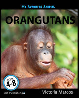 My Favorite Animal: Orangutans - Victoria Marcos