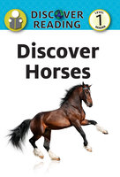 Discover Horses: Level 1 Reader - Katrina Streza