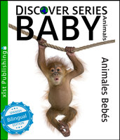 Baby Animals / Animales Bebés - Xist Publishing
