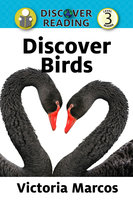 Discover Birds - Victoria Marcos