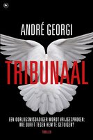 Tribunaal: een ultieme poging tot gerechtigheid aan het Joegoslavie-Tribunaal - André Georgi