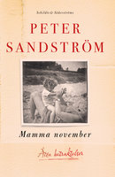 Mamma november: Åtta betraktelser - Peter Sandström