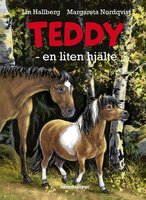 Teddy - en liten hjälte - Lin Hallberg