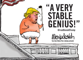 A Very Stable Genius - Mike Luckovich