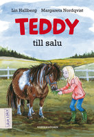 Teddy till salu - Lin Hallberg