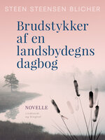 Brudstykker af en landsbydegns dagbog - Steen Steensen Blicher