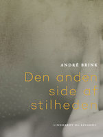 Den anden side af stilheden - André Brink