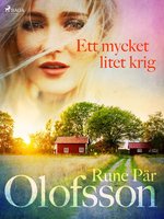Ett mycket litet krig - Rune Pär Olofsson