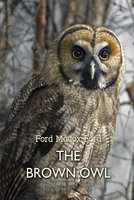 The Brown Owl: A Fairy Story - Ford Madox Ford
