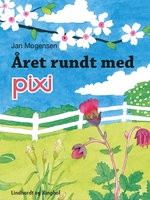 Året rundt med Pixi - Jan Mogensen