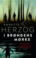 I brøndens mørke - Annette Herzog