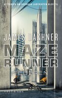 Maze Runner - Feberen: Maze Runner 5 - James Dashner