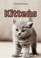 Kittens - Per Straarup Søndergaard