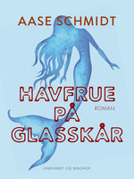 Havfrue på glasskår - Aase Schmidt