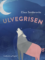 Ulvegrisen - fortællinger om forvandling - Claus Senderovitz