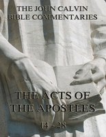 John Calvin's Commentaries On The Acts Vol. 2 - John Calvin
