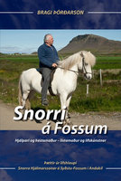 Snorri á Fossum - Bragi Þórðarson