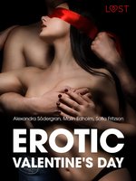 Erotic Valentine s Day - 5 erotische verhalen - Malin Edholm, Sofia Fritzson, Alexandra Södergran